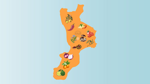 Mappa della calabria con le icone delle produzioni agricole locali